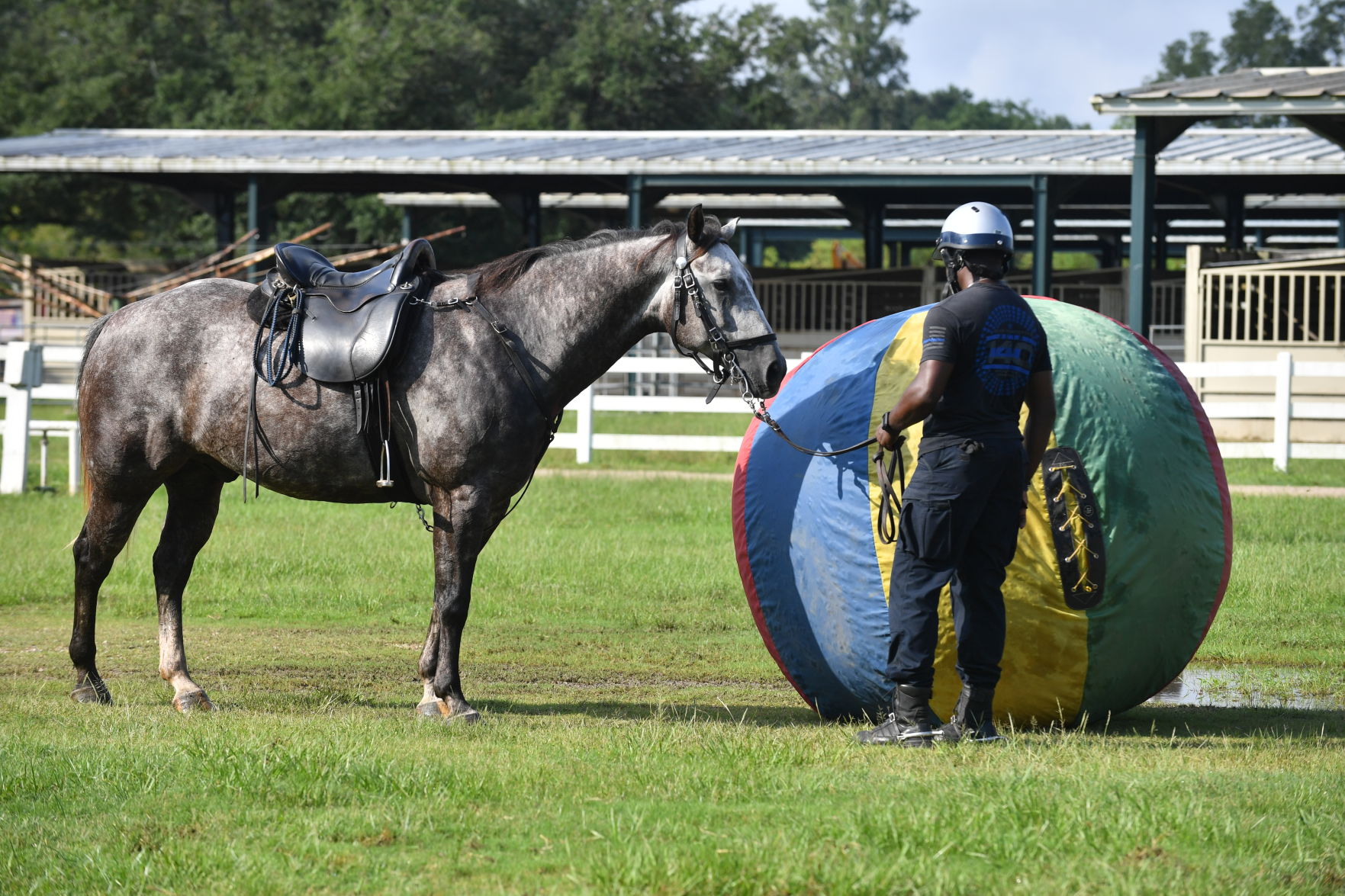 BR.brpdhorses.adv HS 025.JPG